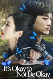 It’s Okay to Not Be Okay Hindi Dubbed