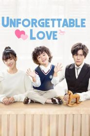 Unforgettable Love Hindi Dubbed All Episodes | Watch Full Series Online in HD (Bilibili, Dailymotion)