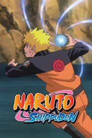 Naruto Shippuden Season 5 Hindi Dubbed | Multi Audio (Hindi, English, Japanese, Tamil, Chinese, Bangla) Watch & Download Free