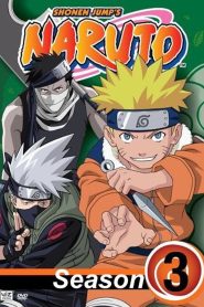 Naruto Shippuden Season 3 Hindi Dubbed | Multi Audio (Hindi, English, Japanese, Tamil, Chinese, Bangla) Watch & Download Free
