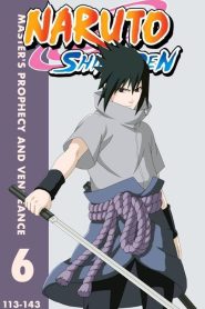 Naruto Shippuden Season 6 Hindi Dubbed | Multi Audio (Hindi, English, Japanese, Tamil, Chinese, Bangla) Watch & Download Free