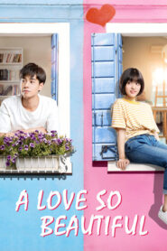 A Love So Beautiful (2017) – Chinese, Korean & Thai Drama | Hindi Dubbed Episodes, Cast, Story, Watch Online Season 01 Full Hindi Dubbed