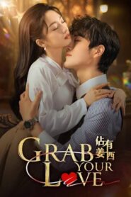 Grab Your Love – Complete Romantic Drama Series (Hindi Available) | Full English Description