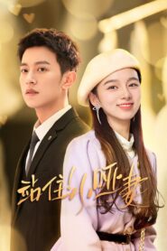 My Lovely Wife Hindi Dubbed | All Episodes Watch Online HD Chinese Drama